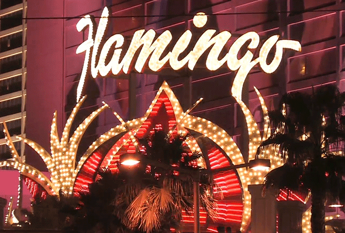 flamingo+casino+las+vegas.gif