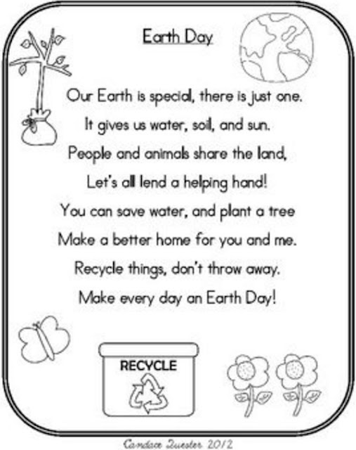 Reflective Journey in the Pacific