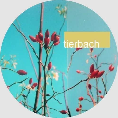 tierbach ///°^°\\\