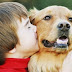 Pet terapia: cães ajudam pacientes a se recuperar de doenças