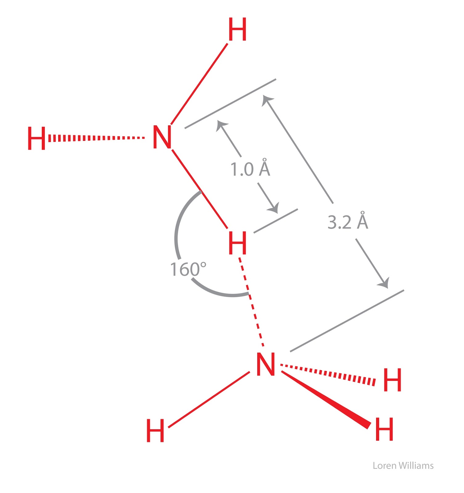 hydrogen bonding hydrogen bonding