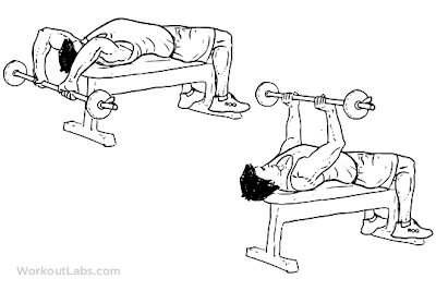 Barbell_Pullover.png