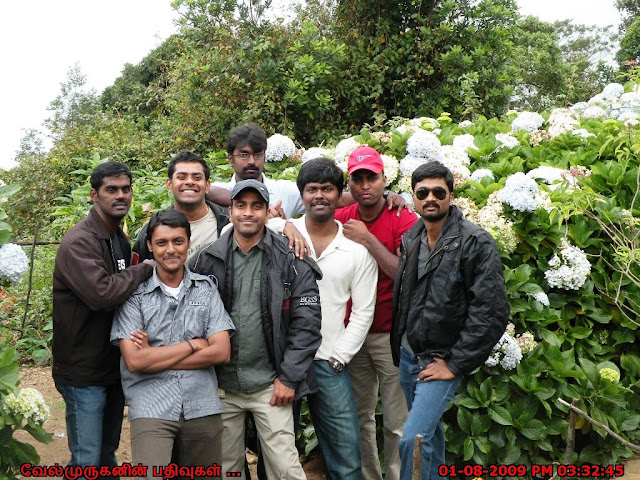 Kodaikanal Pillar Rock 