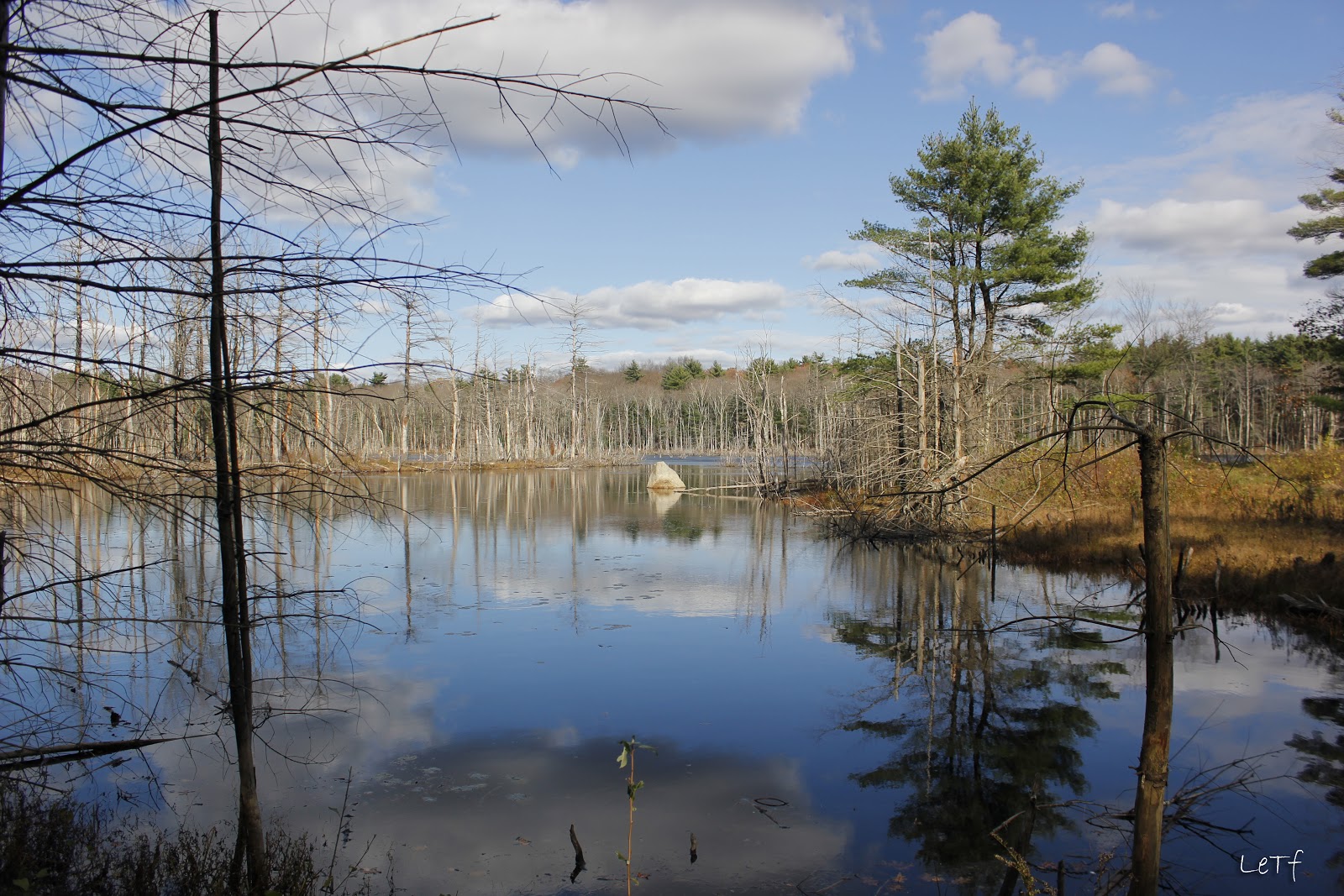 Fotografias Lago en Hopkinton Massachusetts