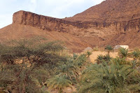 Mauritanie-oasis Terjit 2