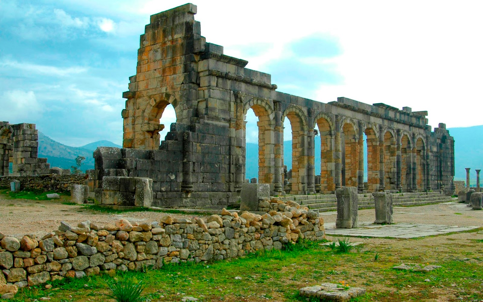 volubilis fas rooteto