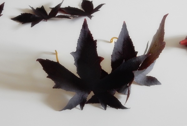 DIY : une couronne de feuilles pour Halloween
