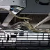 ENCUENTRA UNA SERPIENTE DENTRO DE SU PLAY STATION 4