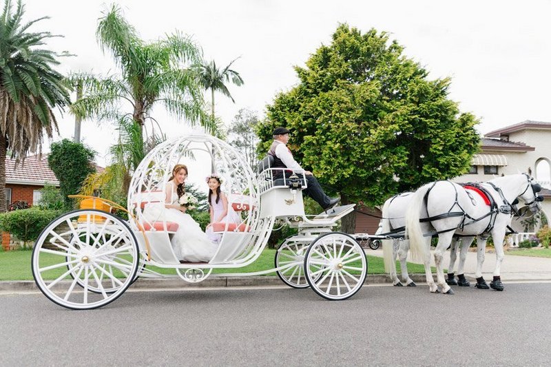 Top 14 Enchanting Cinderella Wedding Carriages For Your Sacred And