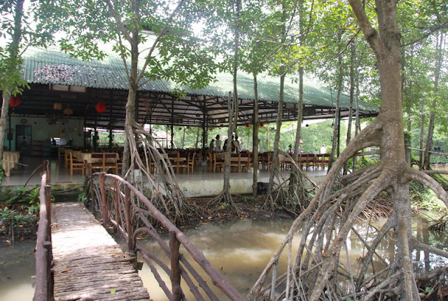 Forêt de mangroves de Vam Sat (Can Gio) - Le poumon vert de Saigon