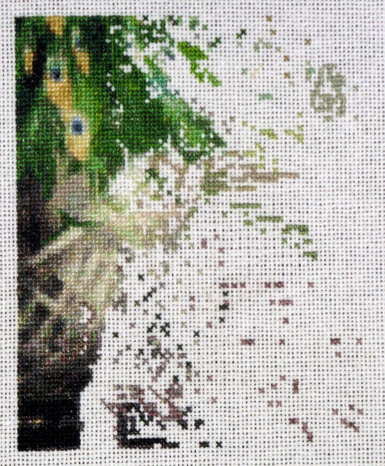 Crossed Stitches Cross Country and Parking