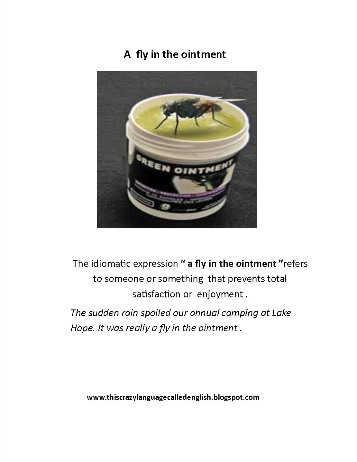 Love English ! IDIOMATIC EXPRESSIONS LIST 1 A fly in the ointment