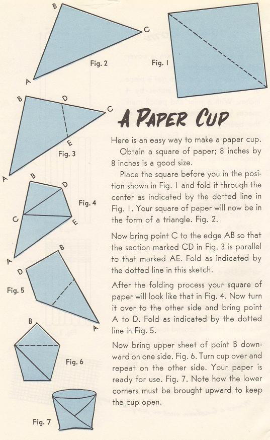 Papercup Story: Paper Cup Story