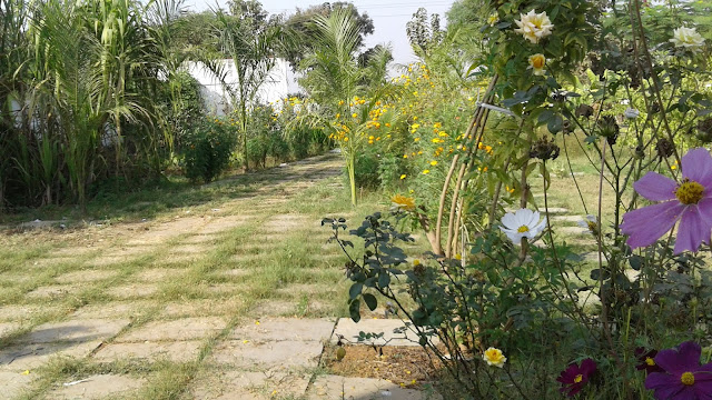 farm house path
