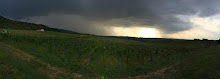Storm leaving Domaine le la Pinte, Arbois, Jura, September