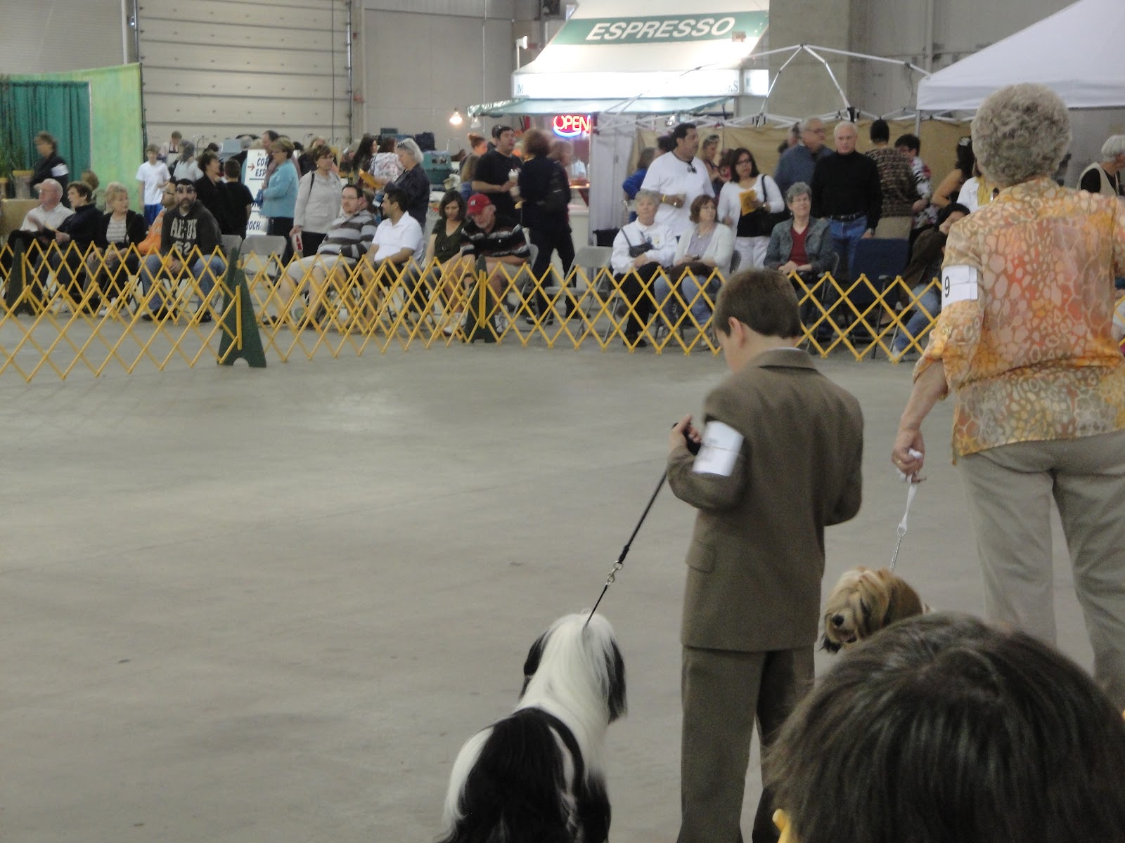 We Attended the Cal Expo Sacramento Kennel Club Dog Show Frugal