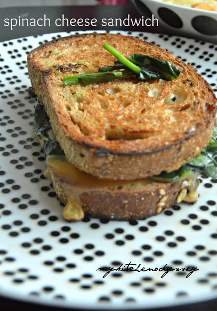 cheese spinach sandwich3