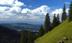 صور رائعة لكيفية صنع الجبنة السويسرية!