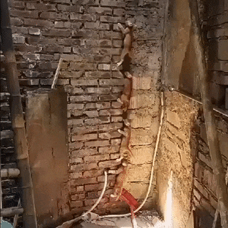 7.gif