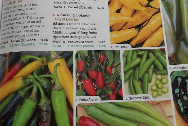 Ordering seeds from a catalog