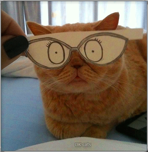 Art Cat GIF • Ginger Cat with 'trompe-l'œil' glasses sticking his tongue out Art Cat GIF • Ginger Cat with 'trompe-l'œil' glasses sticking his tongue out