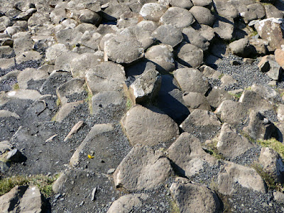 Our Ireland Adventure Day 13 - The Giant Causeway hike