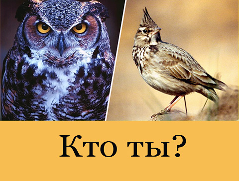 Смотреть Фразы, которые нужно говорить, чтобы зарплату повысили видео Смотреть Фразы, которые нужно говорить, чтобы зарплату повысили видео