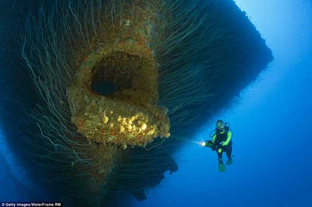 10 Foto Dasar Laut Mengerikan ini Dijamin Membuat Bulu Kuduk Berdiri 10 Foto Dasar Laut Mengerikan ini Dijamin Membuat Bulu Kuduk Berdiri