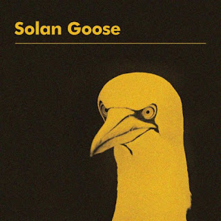 Erland_Cooper_-_Solan_Goose Le classement des albums du mois de septembre 2018