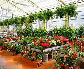 Plant Nursery Business