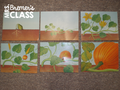 Non-Halloween themed book companion activities for the Pumpkin Patch Parable