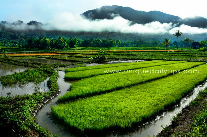 Jenisjenis Fotografi Yang Unik dan Mendidik