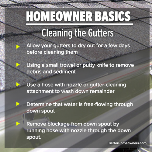 Orlando Florida Real Estate News Cleaning the Gutters