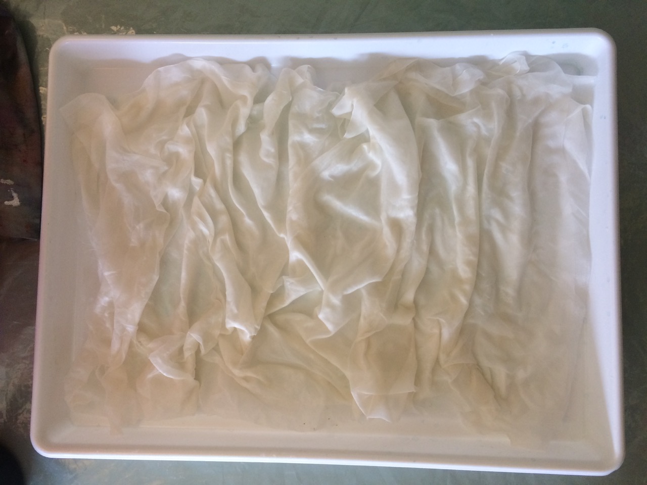 Charlotte Scott Textile Artist How to dye silk organza. Technique 1