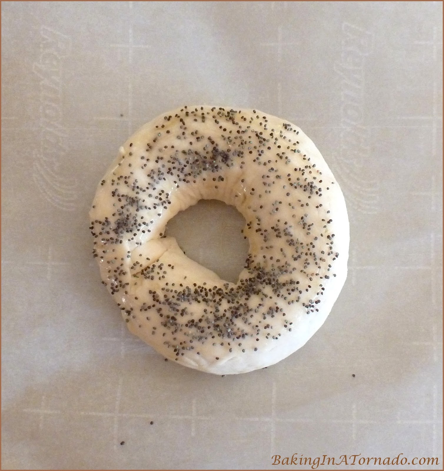 Baking in a Tornado Onion Poppy Bagels Truth or Dare Blog With Friends