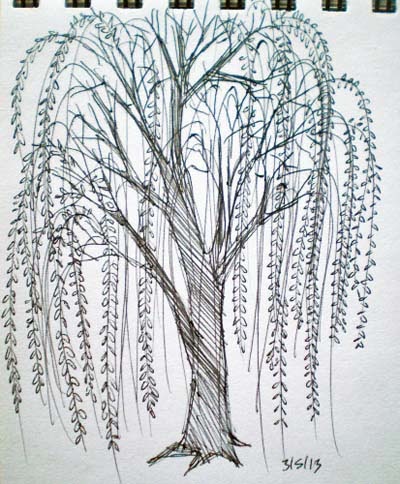 Art by Jeane Nevarez: willow tree