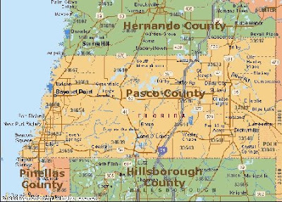 Tampa Bay Real Estate Are Your - Pasco