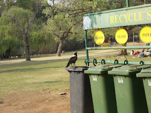 Johannesburg Zoo :- Excellent  "RECYCLING" Garbage collection boxes in the Zoo.