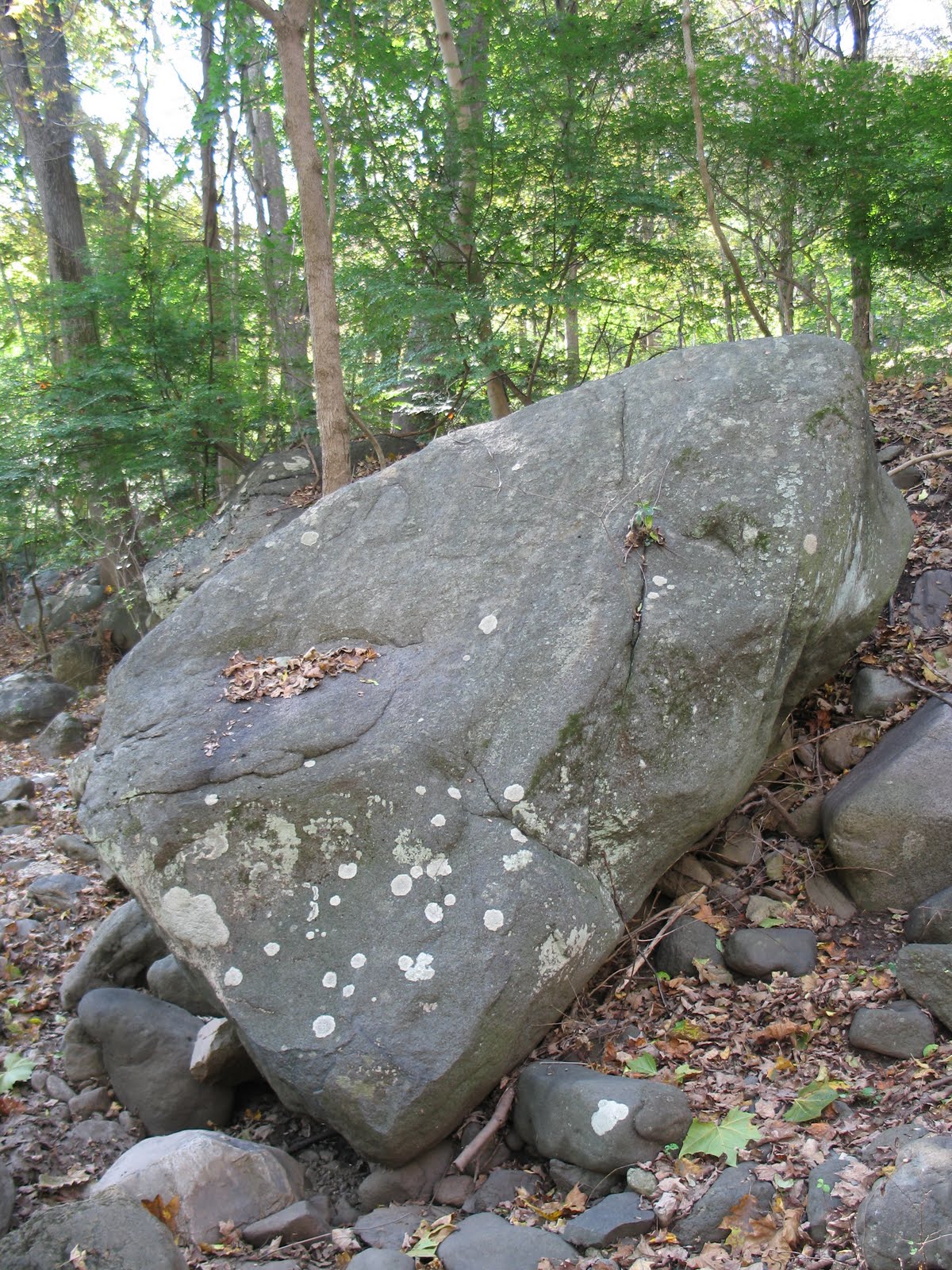 The Mercer Process Silver Lake Park, CrotononHudson, NY