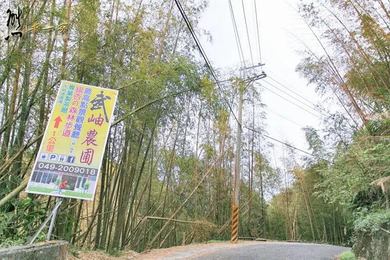 銀杏森林|武岫農圃|銀杏林觀景步道
