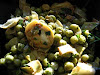 Baby Artichokes and Peas