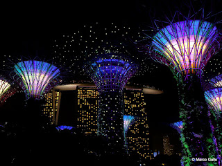 BOSQUE ARTIFICIAL. SINGAPUR