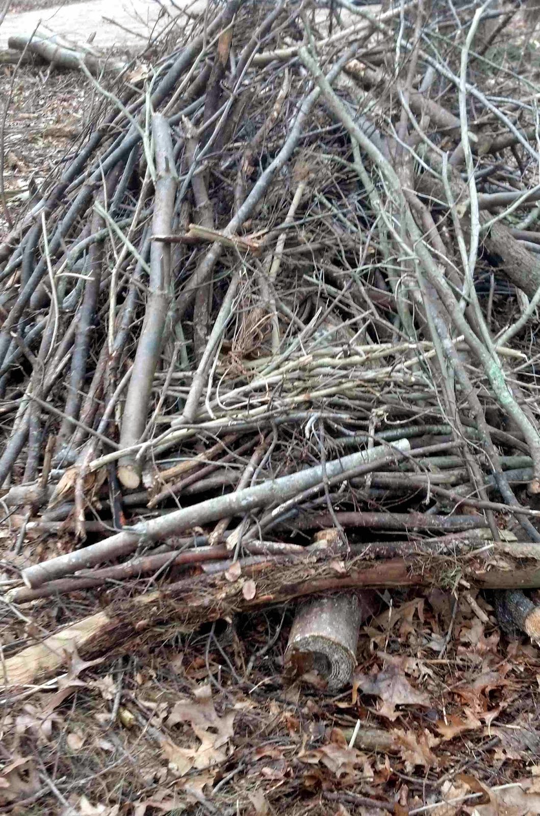 Avalonia eTrails Building a better brush pile