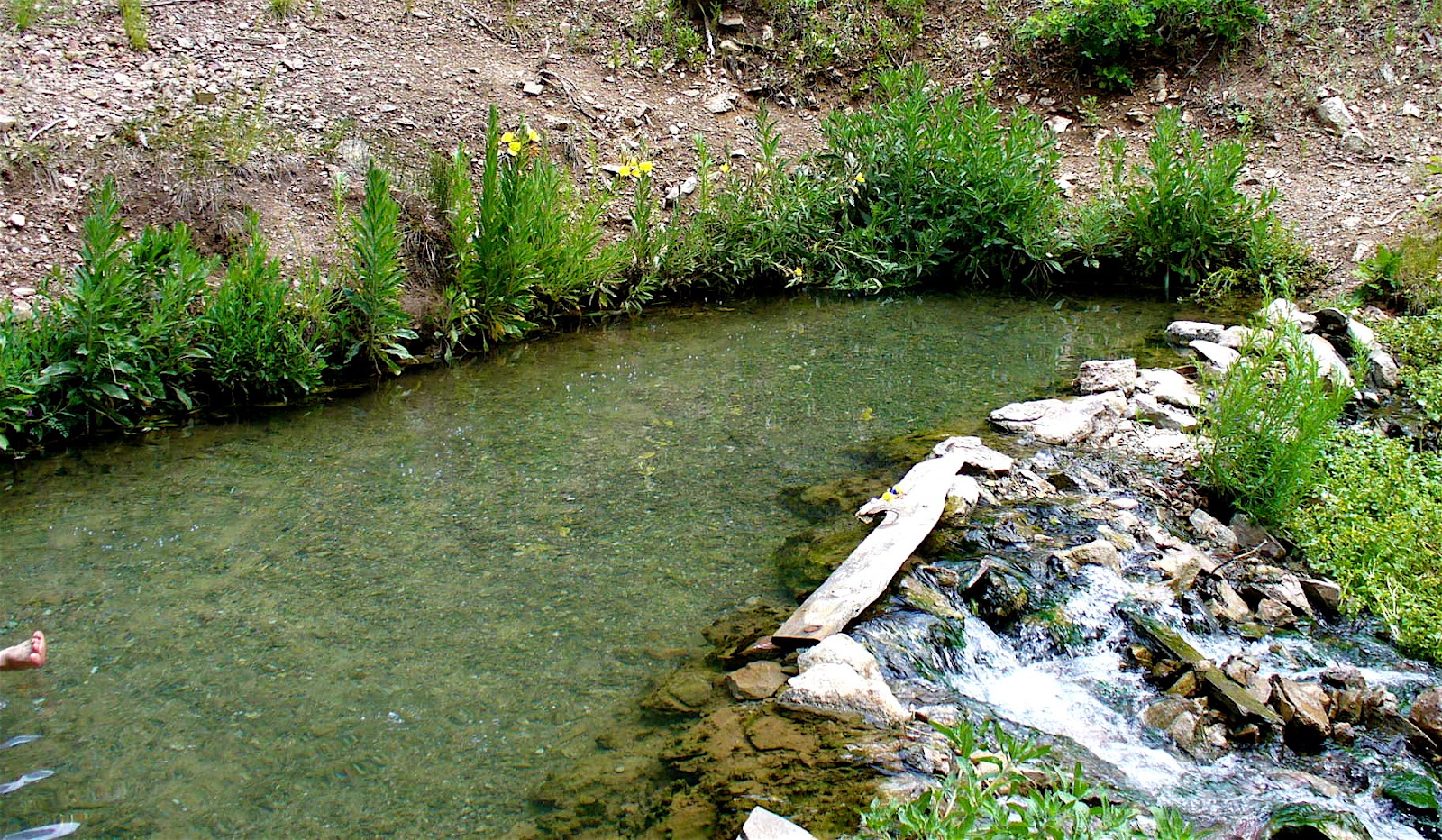 Alt. Build Blog: Nearly Natural Hot Spring Pools