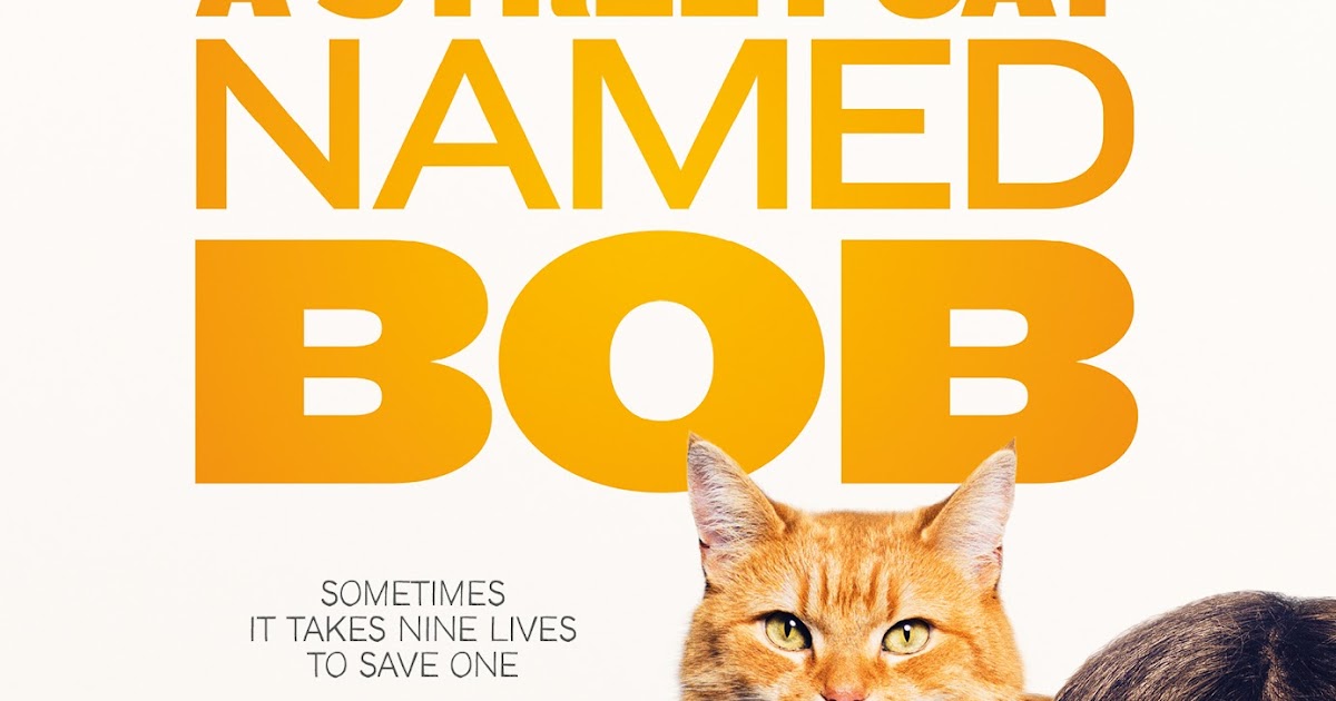 Hello street cat live. Street Cat named Bob poster. Книга на английском a Street Cat named Bob. Sometimes it takes Nine Lives to save one.