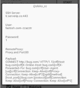 opened payload and remote proxy