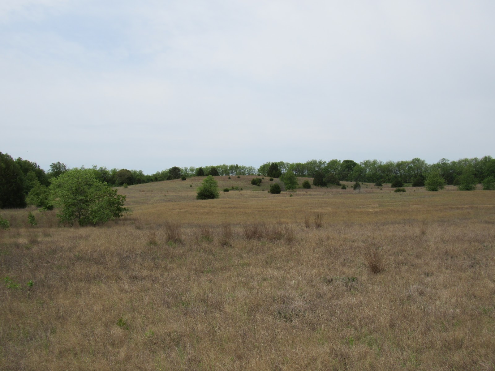 The Wild Land of Lincoln The Greatest Desert... In Central Illlinois