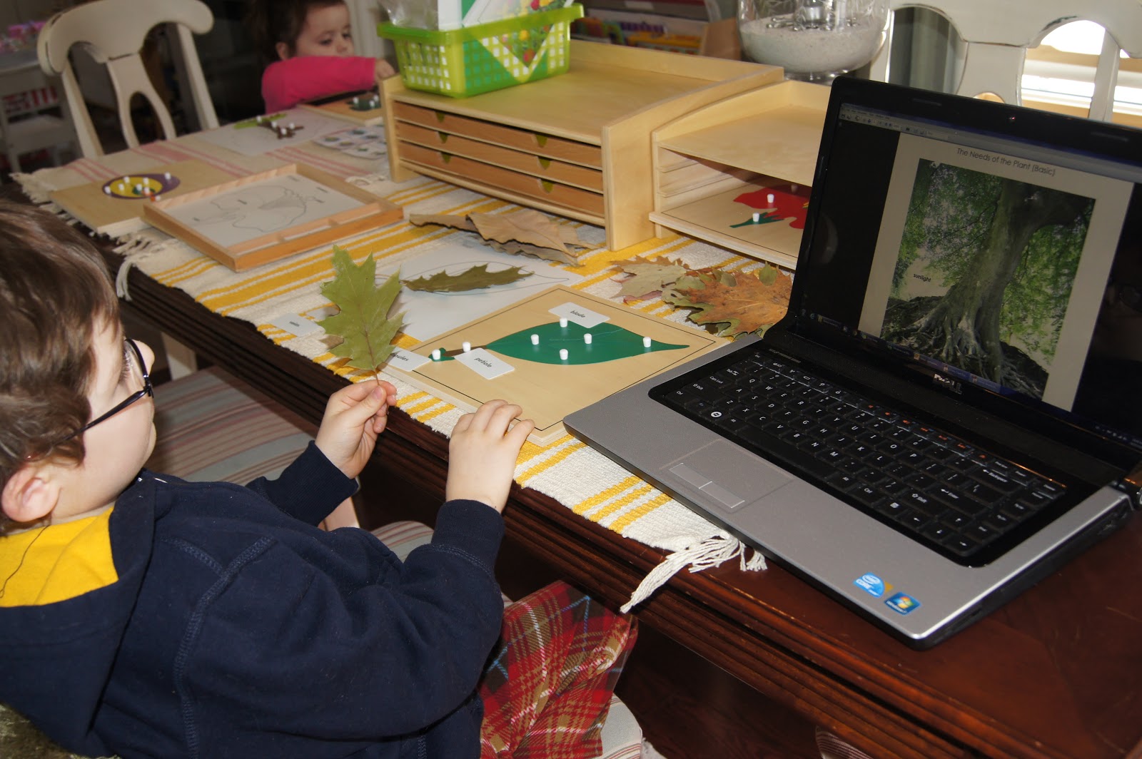 Botany 1 Montessori Botany Puzzle Work "Making Montessori Ours"