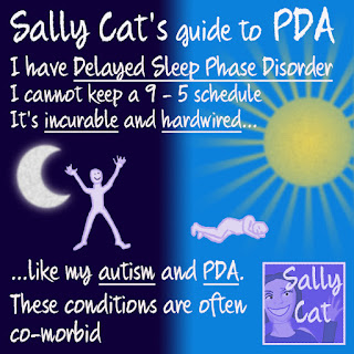 Sally Cat PDA: Delayed Sleep Phase Syndrome and PDA