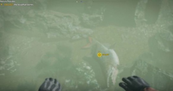 Far Cry 5 Nature Provides, Snowshoe Lake, Collect Leviathan bones
